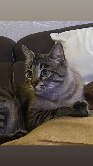 chat reunited    Nice Bebs