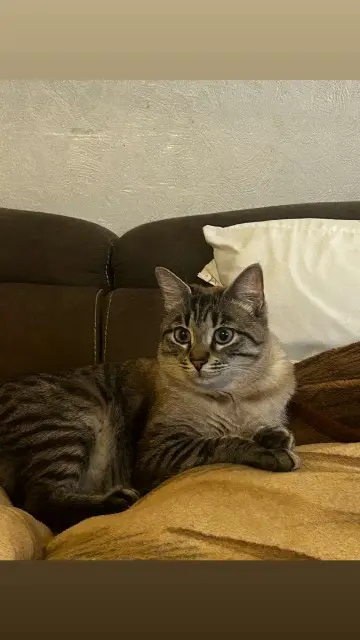 chat reunited    Nice Bebs