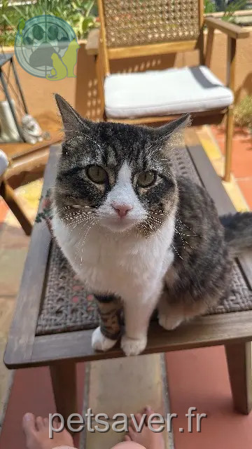 chat reunited Nice Yuri