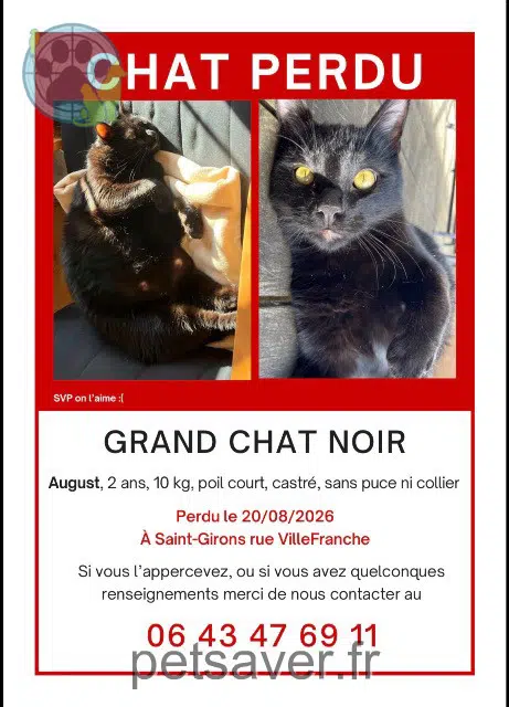 chat reunited 09200 Saint-Girons August
