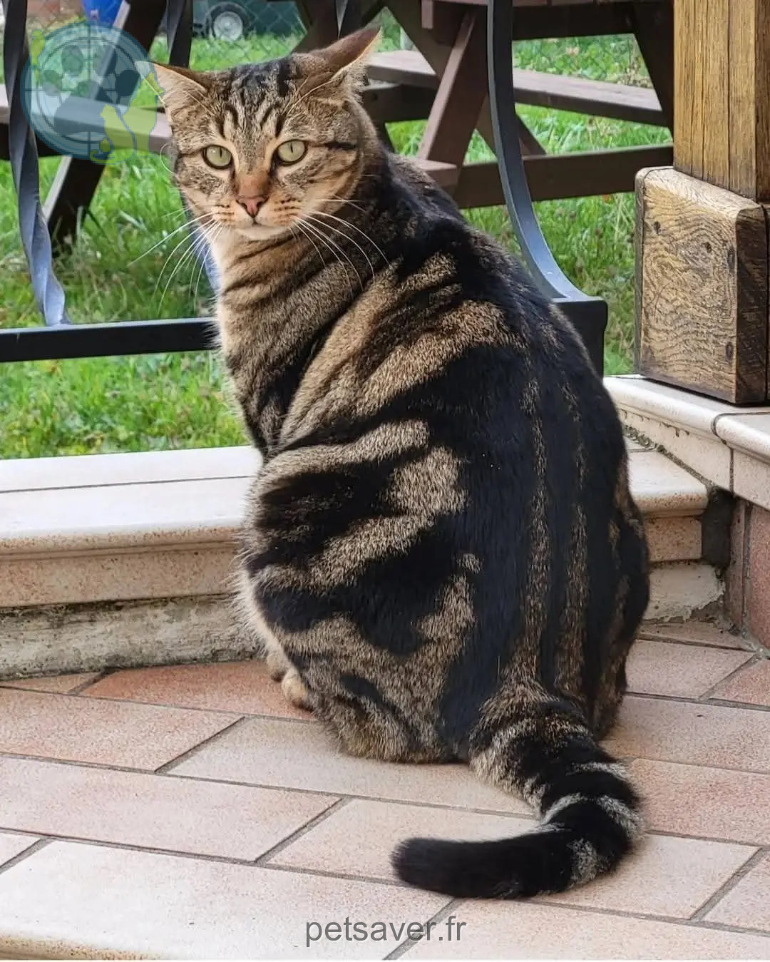 chat reunited 10600 La Chapelle-Saint-Luc Maya