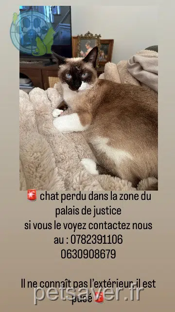 Kater reunited   11100 Narbonne Coco