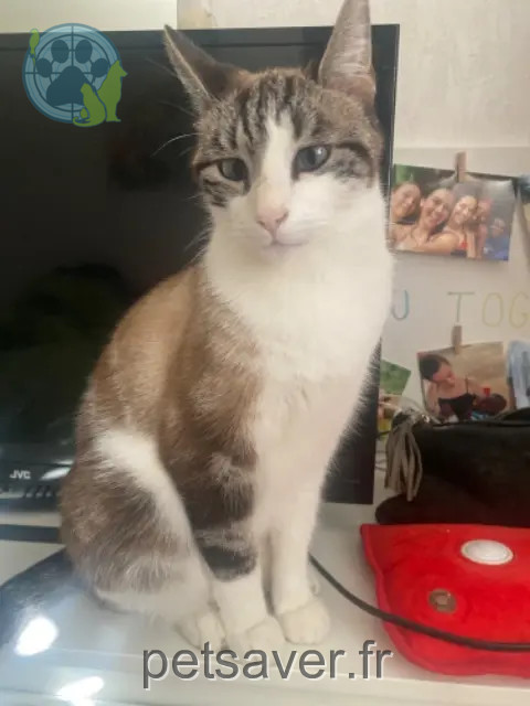 Kater reunited 11100 Narbonne Grinch