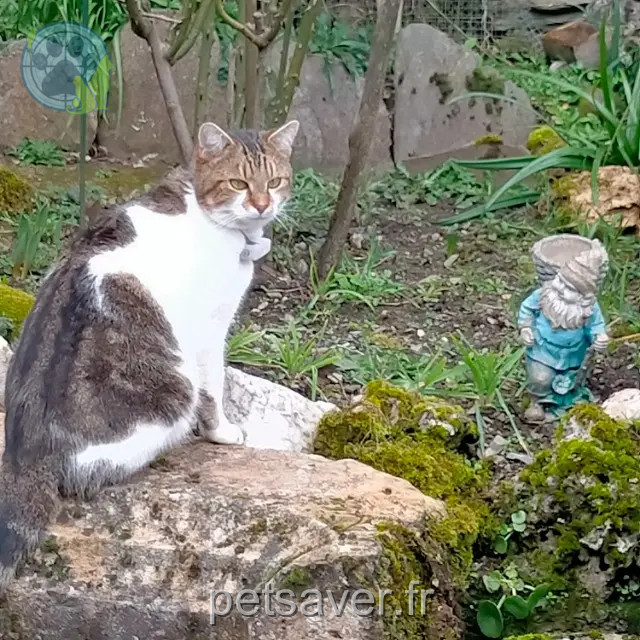 kater reunited   12190 Estaing Grisou