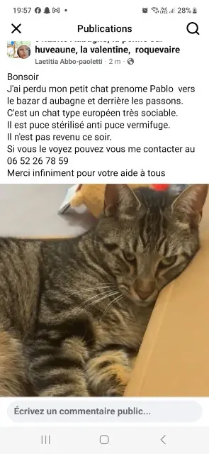 chat reunited   13400 Aubagne Pablo