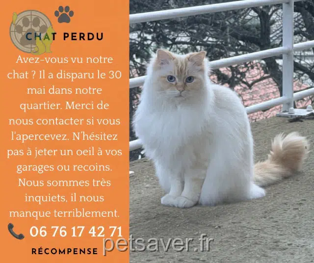 Kater reunited   13260 Cassis Roscat