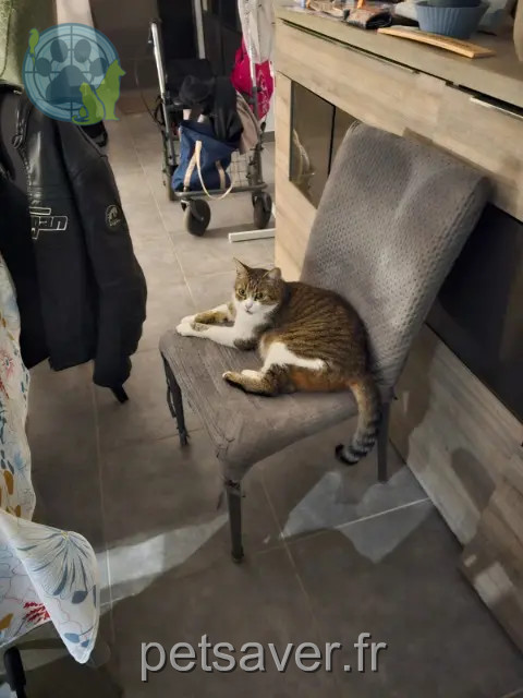 Kater reunited   16170 Rouillac Léon