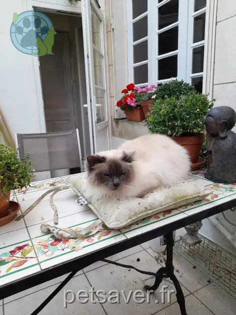chat reunited 17000 La Rochelle Jimmy