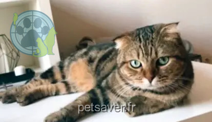 chat reunited   17220 Clavette Pablo