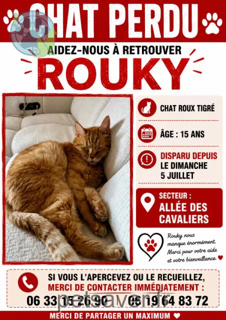 chat reunited 17340 Châtelaillon-Plage Roucky