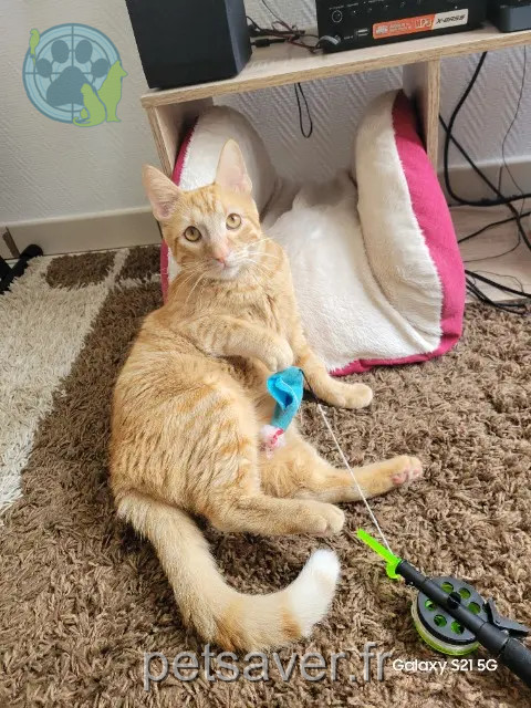 Kater reunited   17500 Jonzac Ukyo