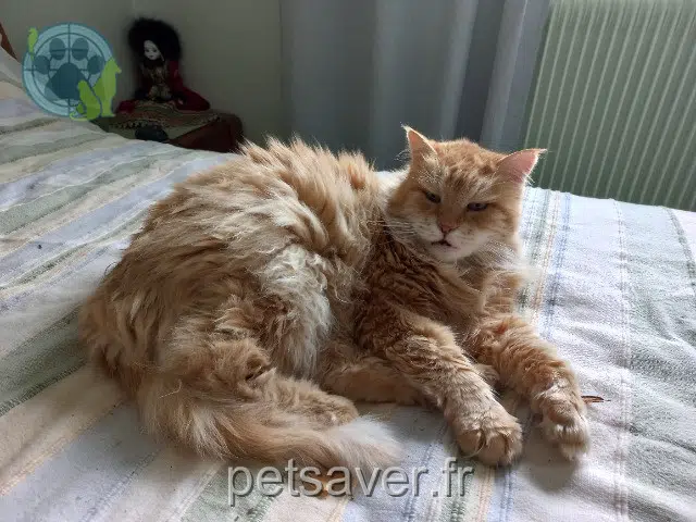 kater reunited 18230 Saint-Doulchard Akuna