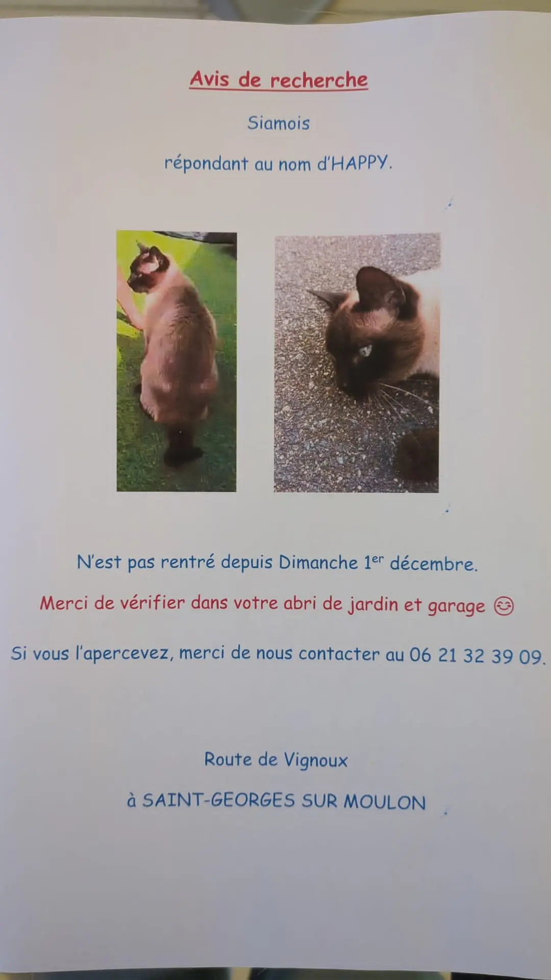Chat Perdu 18 Cher - Happy Chat Perdu 18 Cher - Happy