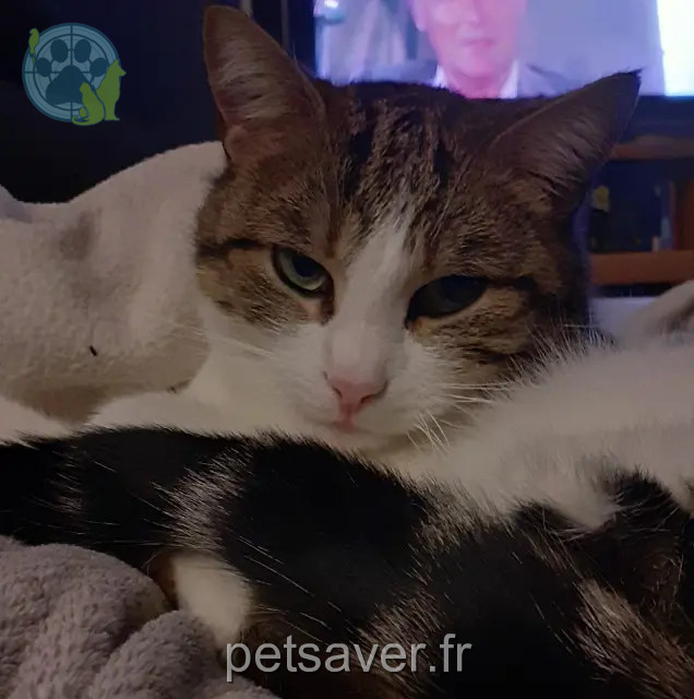 chat reunited   21130 Champdôtre Oslo