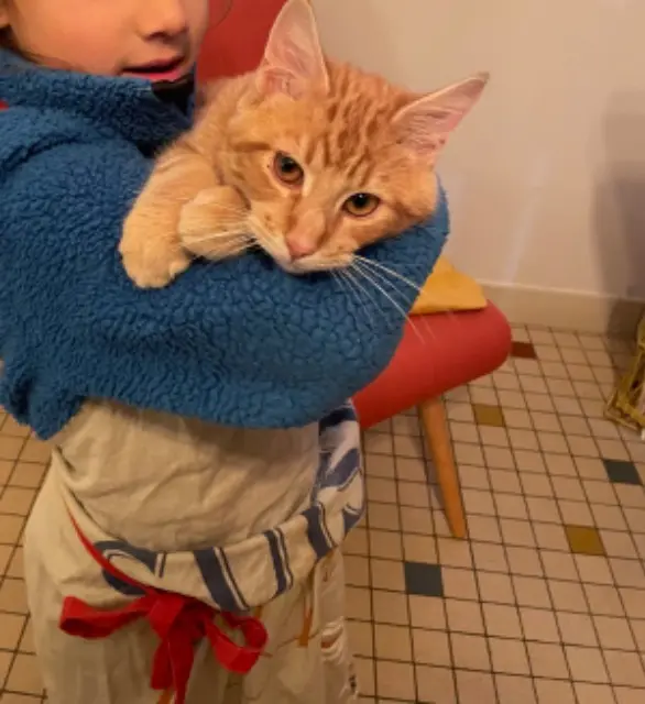chat reunited   24240 Thénac Pirate