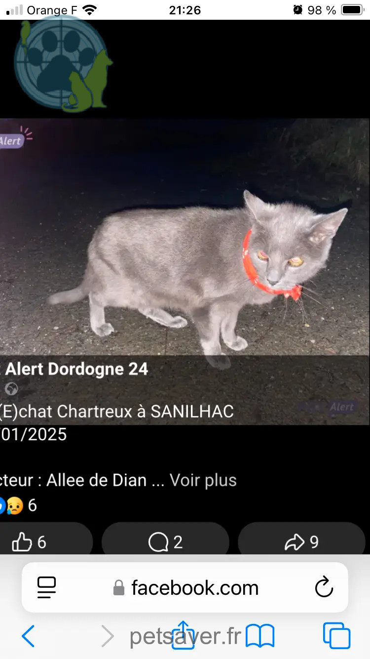 gato reunido Chemin de Grégaudie 24660 Sanilhac Tigri gato reunited Chemin de Grégaudie 24660 Sanilhac Tigri