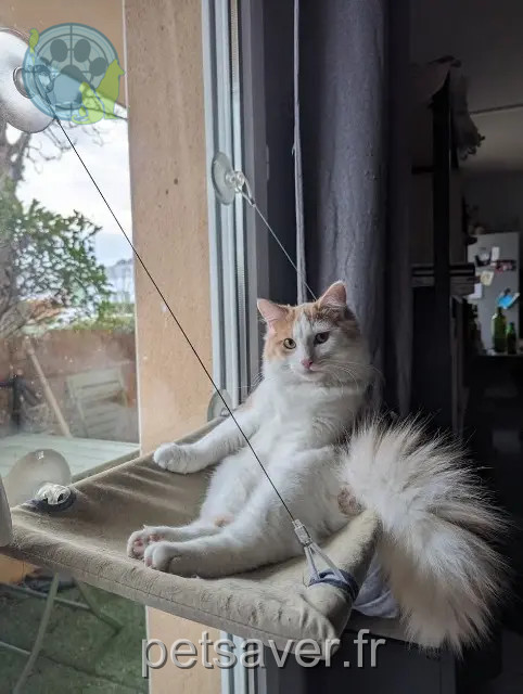 chat reunited 26000 Valence Innhdou