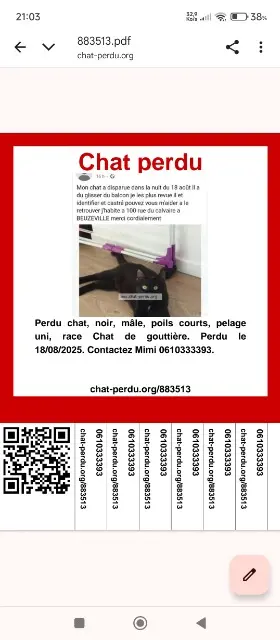 chat reunited   27210 Beuzeville Mimi