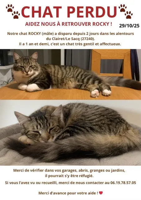 chat reunited    Mesnils-sur-Iton Rocky