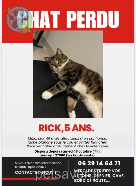 chat reunited 27560 Lieurey Rick