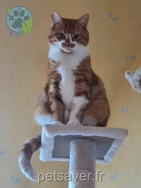 chat reunited 28150 Villars Diego