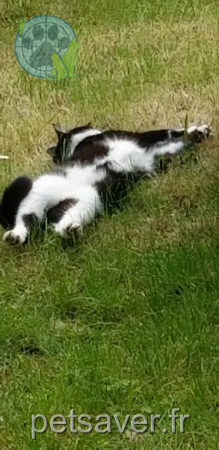 kater reunited   28130 Maintenon Rafal