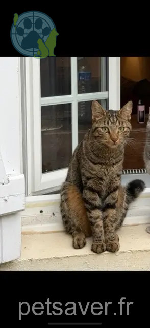 chat reunited   28130 Hanches Viktor