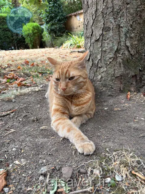 chat reunited 28000 Chartres Willy