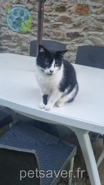 chat reunited 29200 Brest Bounty