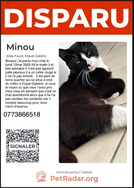 chat reunited   29500 Ergué-Gabéric Minou