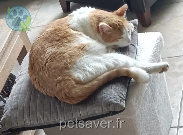 chat reunited   30140 Bagard Sanka