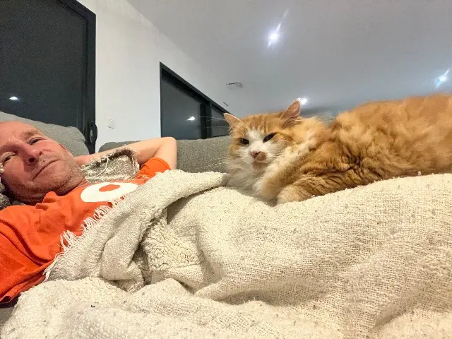 chat reunited   30111 Congénies Spicy