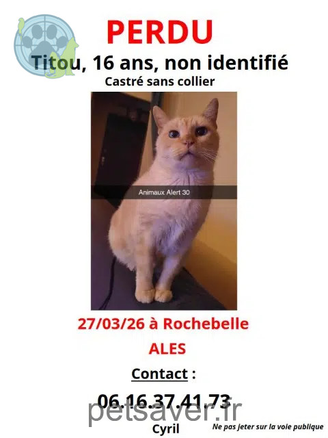 chat reunited 30100 Alès Titou