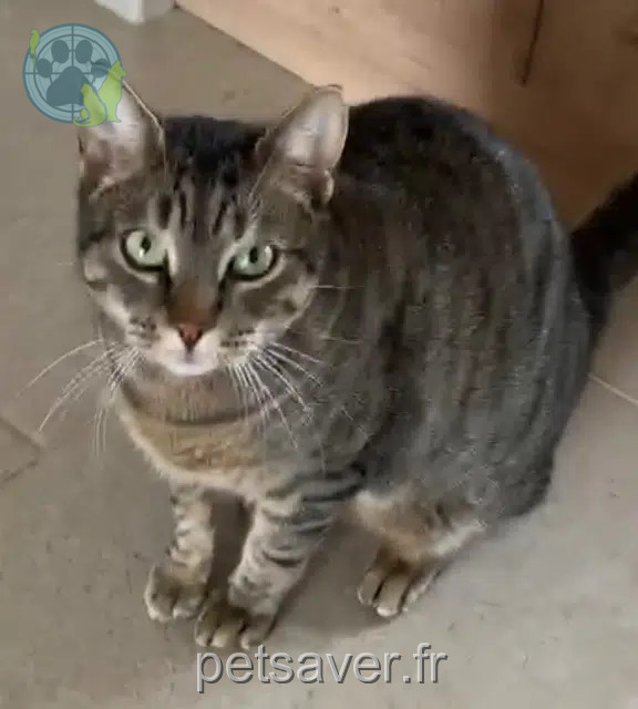 chat reunited 31600 Eaunes Larry