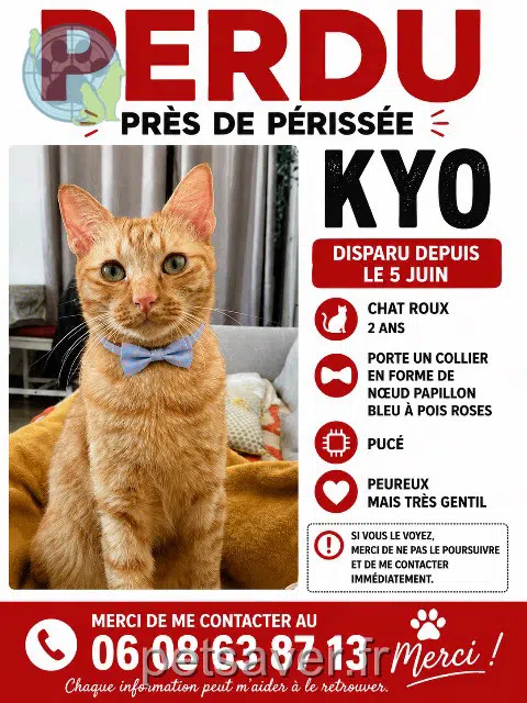 chat reunited    Toulouse Kyo