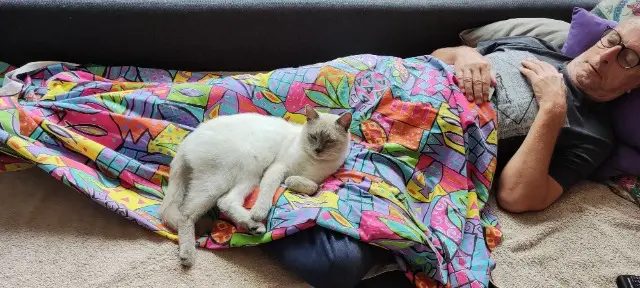 chat reunited    Toulouse Shilo