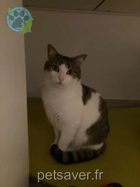 Kater reunited Toulouse Ubtil