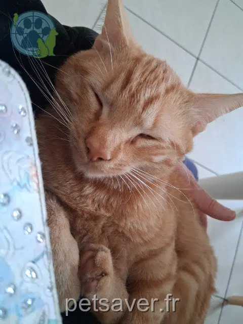chat reunited 33133 Galgon Arthur