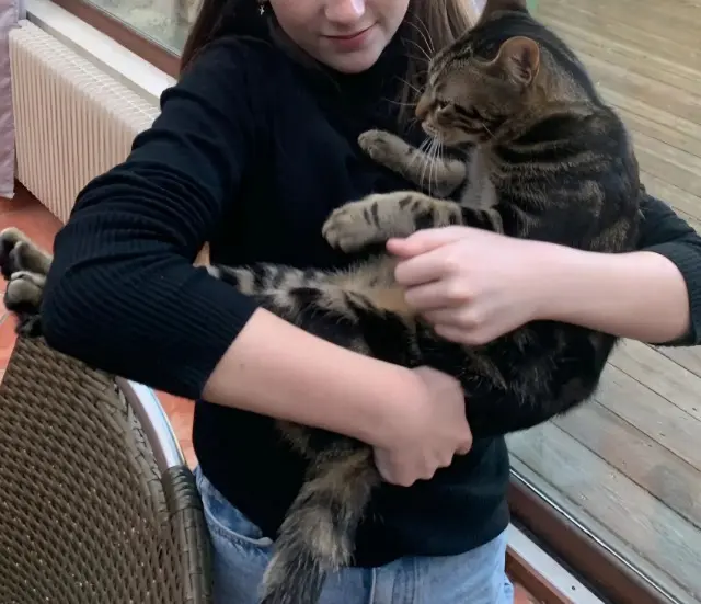 chat reunited    Bordeaux JERRY
