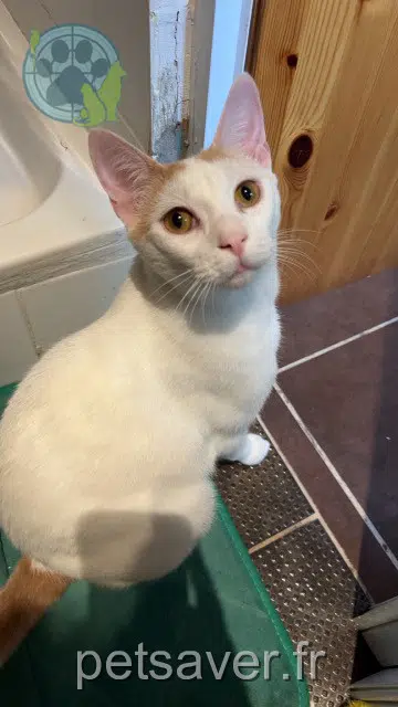 Kater reunited Bordeaux Vincent