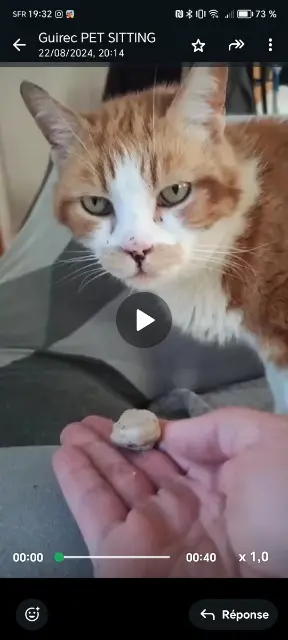 chat reunited   35190 Bécherel Espoir