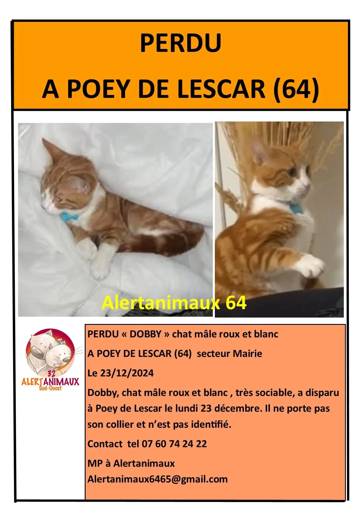 chat reunited  D 51 36230 Sarzay Bobby