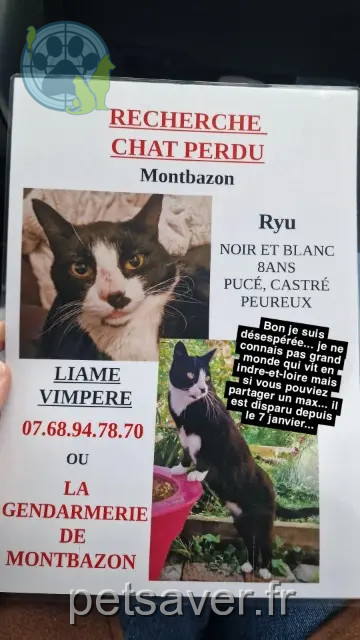 chat reunited 37250 Montbazon Ryu