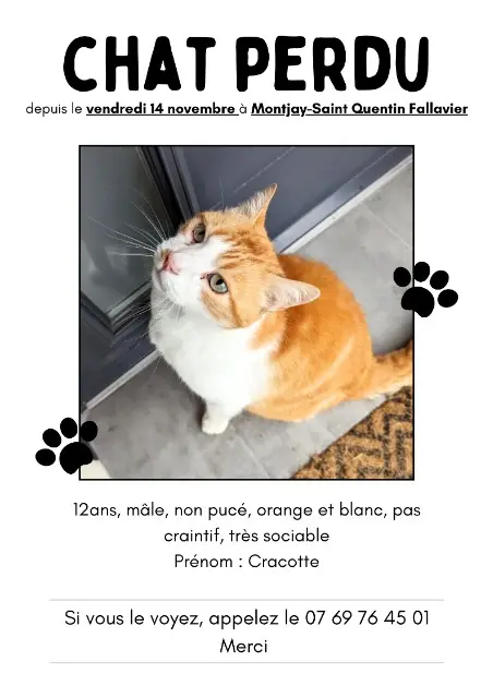 chat reunited   38070 Saint-Quentin-Fallavier Cracotte