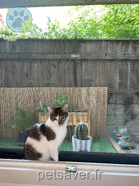 Kater reunited Grenoble Twixy