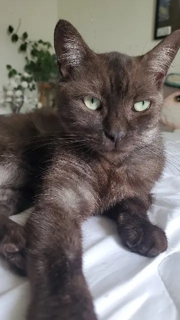 chat reunited   38150 Salaise-sur-Sanne Marley