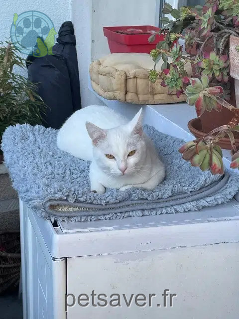 chat reunited   38240 Meylan Snow