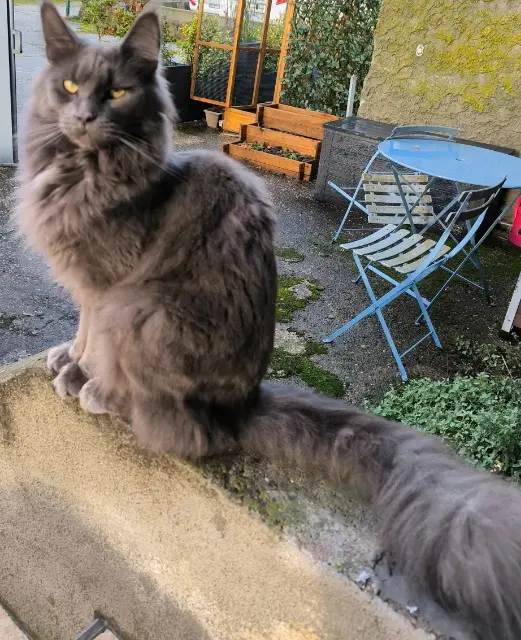 chat reunited   38460 Panossas Up hope