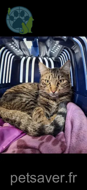 chat reunited 39190 Beaufort-Orbagna Ulco