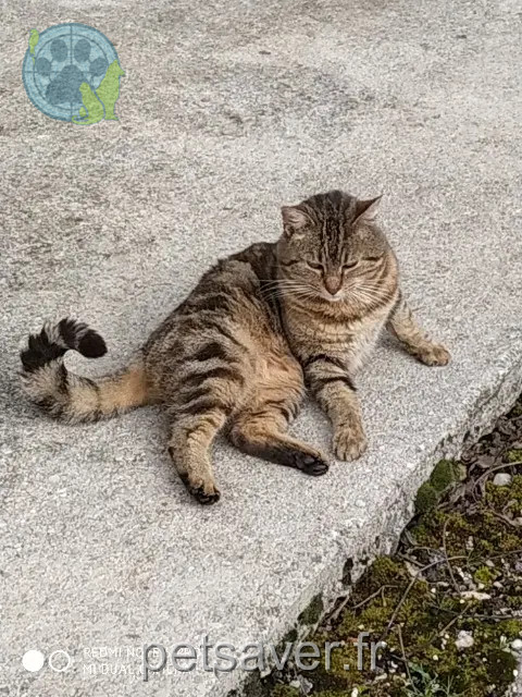 chat reunited Hauteroche Gus